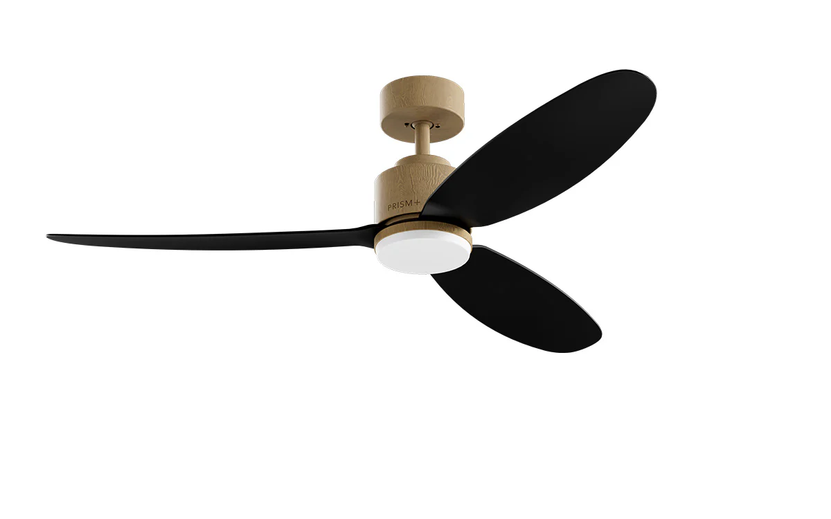 PRISM+ Oasis Pro Curve - 3 Blades - Downrod Smart NCCT - Image 12