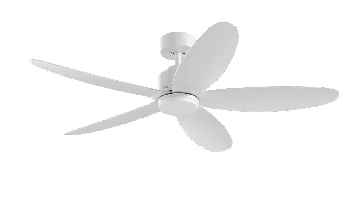 PRISM+ Oasis Pro Curve - 5 Blades - Downrod Smart NCCT - Image 19