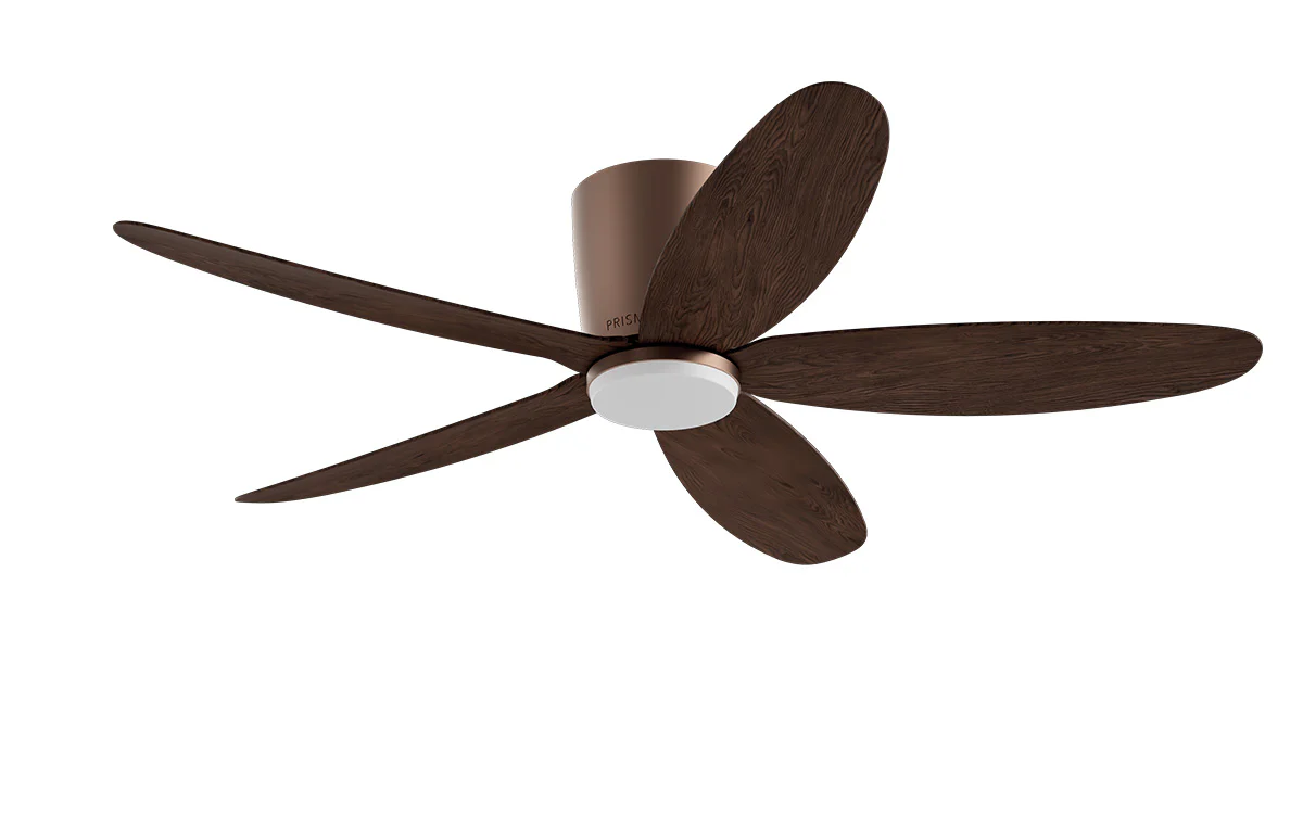 PRISM+ Oasis Pro Curve - 5 Blades - Hugger Smart NCCT - Image 17