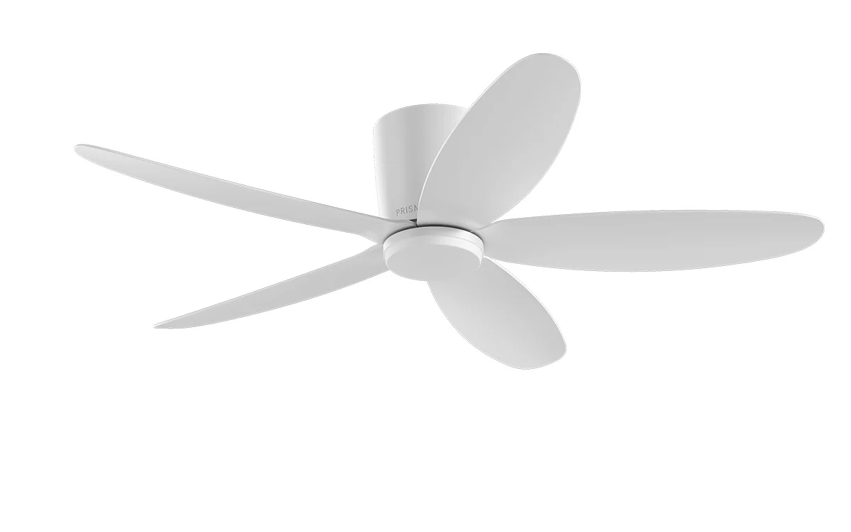PRISM+ Oasis Pro Curve - 5 Blades - Hugger Smart NCCT - Image 21