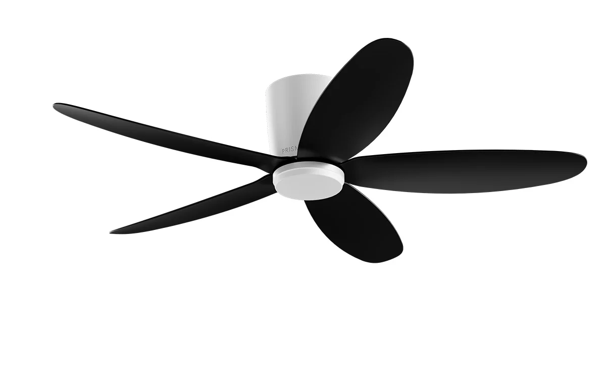 PRISM+ Oasis Pro Curve - 5 Blades - Hugger Smart NCCT - Image 24