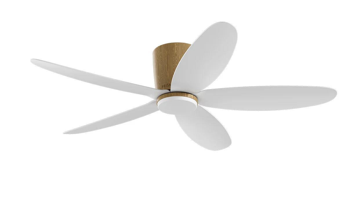 PRISM+ Oasis Pro Curve - 5 Blades - Hugger Smart NCCT - Image 4
