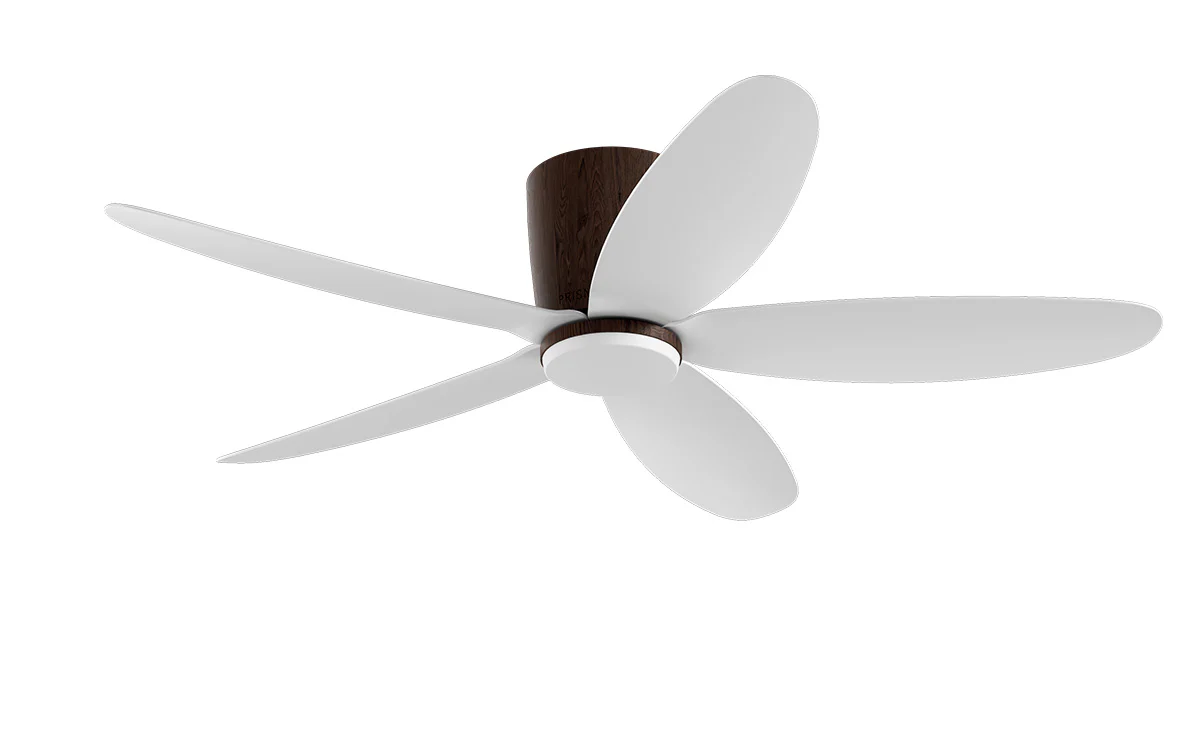 PRISM+ Oasis Pro Curve - 5 Blades - Hugger Smart NCCT - Image 7