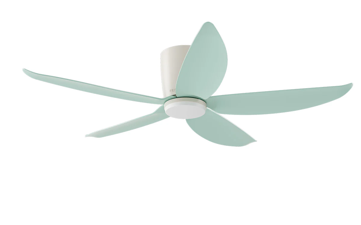 PRISM+ Oasis Pro Macaron Wing Tip - 5 Blades - Hugger Standard NRGB - Image 11