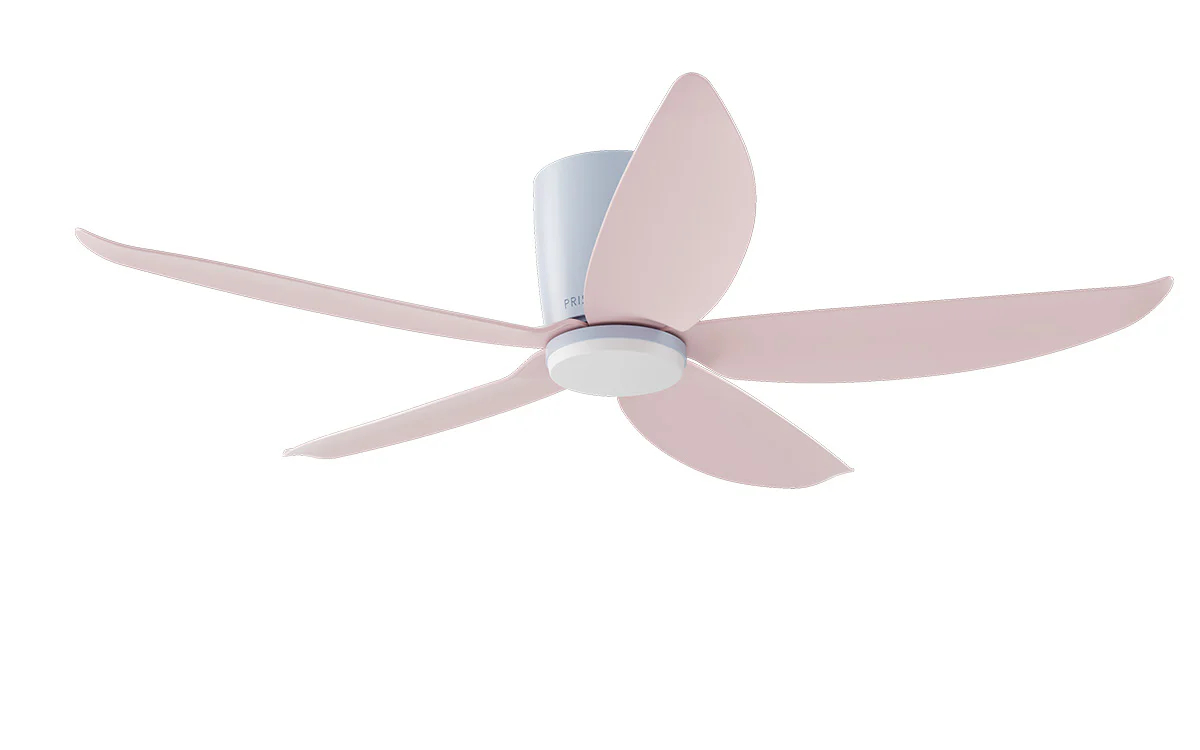 PRISM+ Oasis Pro Macaron Wing Tip - 5 Blades - Hugger Standard NRGB - Image 13