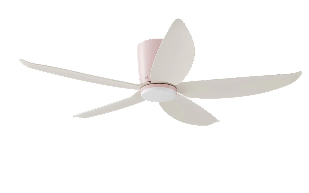 PRISM+ Oasis Pro Macaron Wing Tip - 5 Blades - Hugger Standard NRGB - Image 4