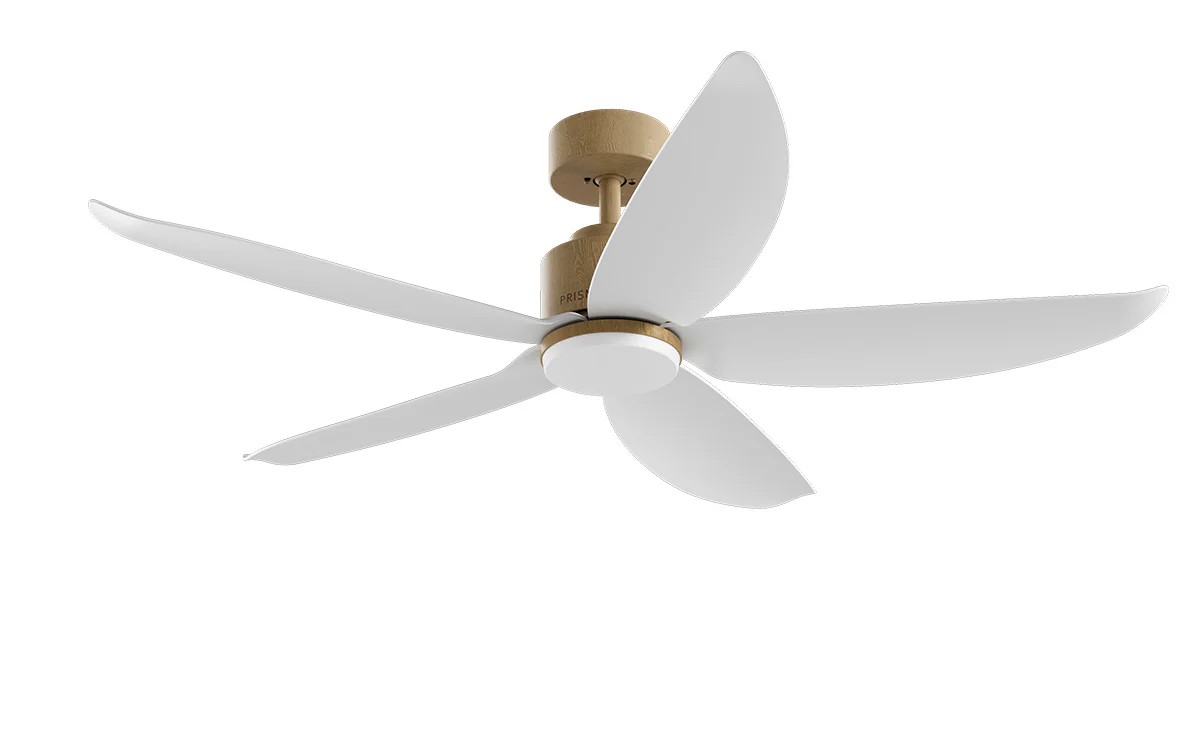 PRISM+ Oasis Pro Wing Tip - 5 Blades - Downrod Smart NCCT