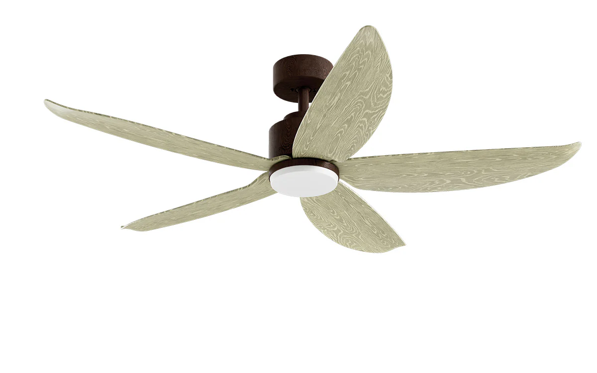 PRISM+ Oasis Pro Wing Tip - 5 Blades - Downrod Smart NCCT - Image 6
